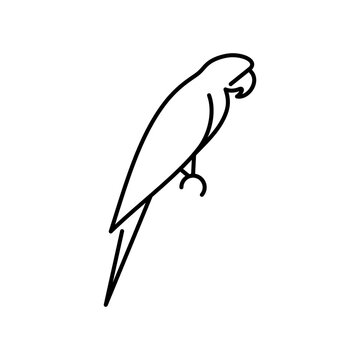 Parrot macaw vector icon. Wild bird  illustration. 