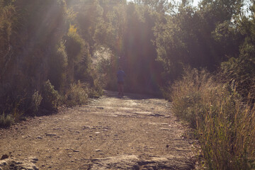 Mountain road