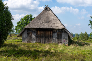 Characteristic stable for German moorland sheep with a straw roof  in the natural preserve Lueneburger Heide