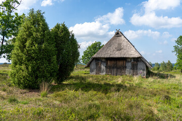 Fototapeta na wymiar Characteristic stable for German moorland sheep with a straw roof in the natural preserve Lueneburger Heide