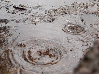 Lluvia