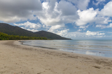 A mangrove forest at Cape Tribulation in Queensland, Australia