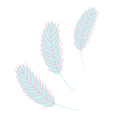  Birds feather.Chicken or goose feather