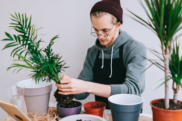 Young caucasian man gardener in eyeglasses transplanting plant in pots on the white wooden table...