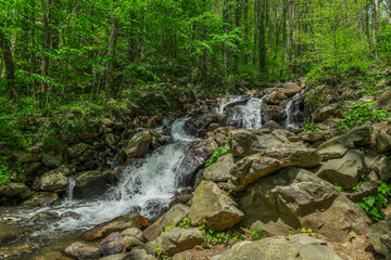 Fototapeta premium Mountain stream waterfall