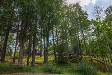 Fototapeta premium Beautiful nature landscape on sunny summer day. Small wooden private houses between tall green trees on blue sky background. Sweden.
