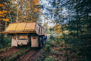 A truck is parked in a forest