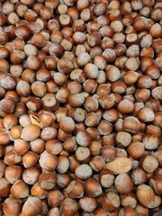 background of hazelnuts