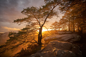 Roetzenfels_Pfalz_2019090701