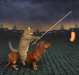 A beige cat with a sausage rides a brown dog dachshund down the street at night.