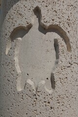 Turtle print in the sand, Florida USA