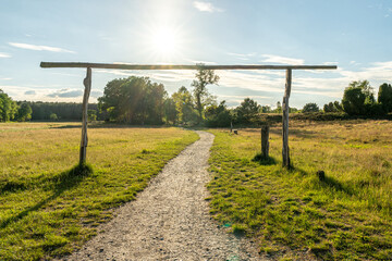 beautiful hillside landscape in the nature preservation area of the lueneburger heide