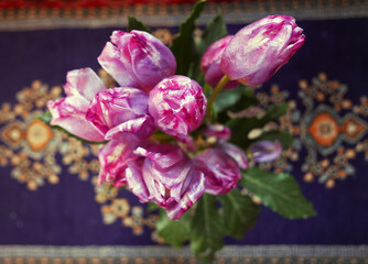 un mazzo di bellissimi tulipani screziati in un interno