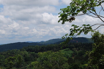 landscape view from the mountain