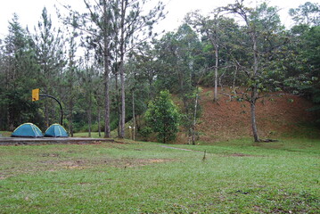 place in the middle of the forest to go camping