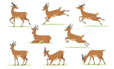Cartoon gazelle set. African antelope walking, eating, running, jumping, resting on lawn in different poses isolated on white. Vector illustration for horny animal, wildlife, fauna concept - obrazy, fototapety, plakaty