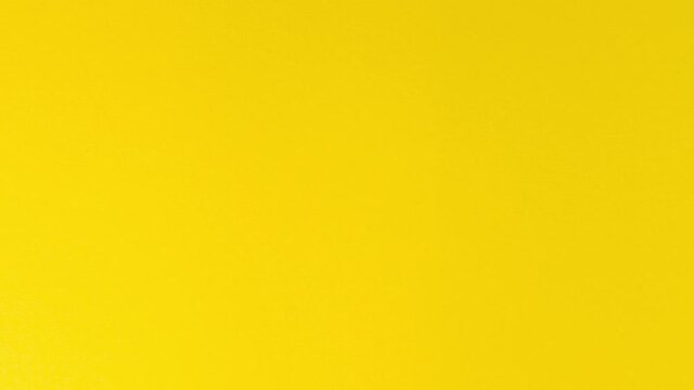 Eggs moves on the yellow background - Stop motion animation - Seamless pattern with eggs	