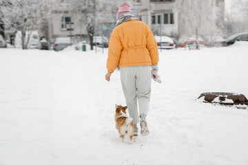 A young woman and her Pembroke Welsh Corgi puppy walk through snow-covered glades. Pets and owners and their relationships