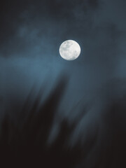 Naklejka na ściany i meble full moon above the horizont
