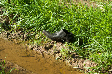 Black shoe among green grass and mud