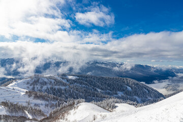Beautiful snow landscape of snowy trees and ski slope of Roza Khutor ski resort. South part of mountains with sunny weather. Sochi, Russia.