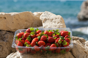 Strawberries in box on sea rock