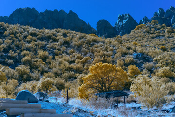 Aguirre Springs campground southwest infrared view.