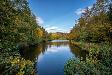 Fototapeta premium view of a lake in the autumn sunshine, lined with deciduous trees, which produce their leaves in beautiful yellow and red colors