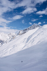 Jazda narciarska w śnieżnym puchu
