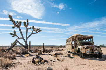 Mojave Road
