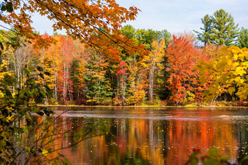 Stunning autumn colours along a river in the countryside of New Hampshire on a sunny fall morning