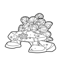 Algae and starfish grows on sand stones coloring book linear drawing isolated on white background