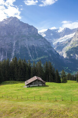 Fototapeta na wymiar The Grindewald Valley in Switzerland on a sunny day