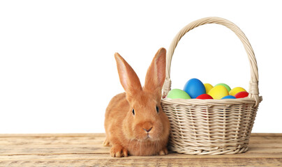 Adorable furry Easter bunny near wicker basket with dyed eggs on wooden table against white background