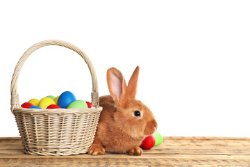 Adorable furry Easter bunny near wicker basket with dyed eggs on wooden table against white background