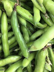 fava beans for sale at the farmers market