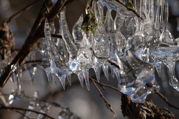 Light reflected through icicles at a river in winter time