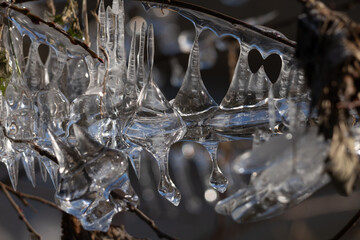 Light reflected through icicles at a river in winter time