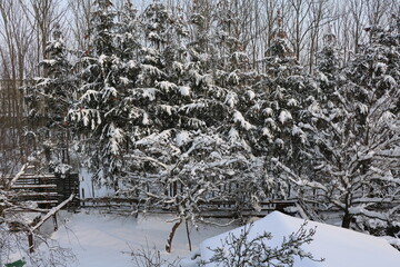 Winter landscape in Germany