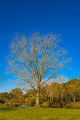 Fototapeta na wymiar Arequita National Park, Lavalleja, Uruguay
