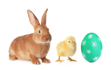 Cute bunny, baby chick and bright Easter egg on white background