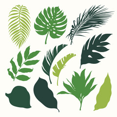Set of tropical plants leaves. Botanical vector silhouettes. Coconut palm, monstera, banana tree.