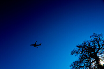 Silhouette of airplane and trees on clear blue sky.
