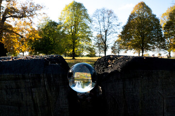 Lensball in the middle of cut tree trunk on a sunny day.