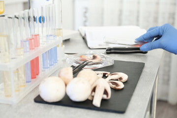 Scientist inspecting mushrooms at table in laboratory, closeup. Food quality control