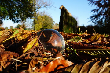 Crystal ball on dried golden leaves in park.