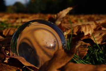 Crystal ball on dried golden leaves in park.