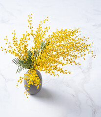 a bouquet of yellow mimosa flowers stands in a ceramic  vase on a marble background. concept of 8 March, happy women's day