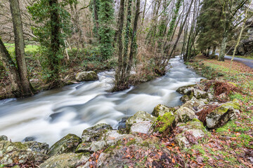 Rivière au cœur de La Fosse Arthour (Normandie, France)