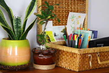 still life with pencils and flowers